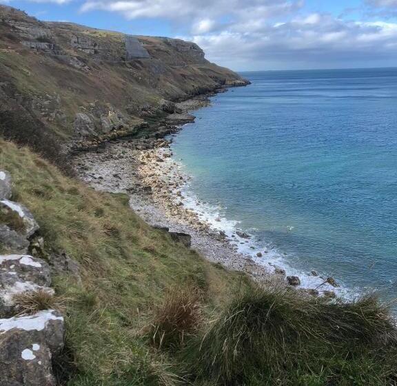 膳宿费 Mulberry House