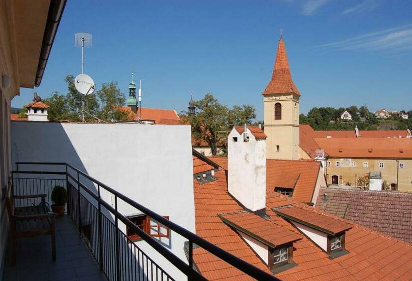 Pension Zámecká Apartmá   Castle Apartments