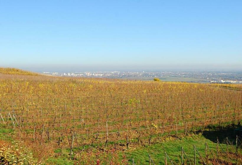 민박 Chambres D'hôtes Gilles Schneider