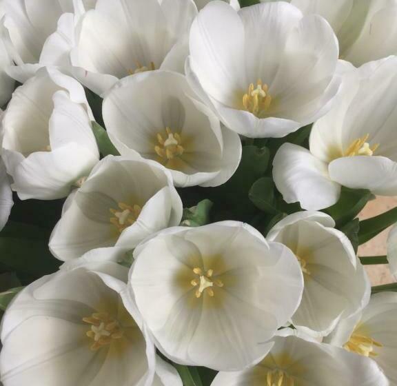 تختخواب و صبحانه Le Jardin Cathedrale