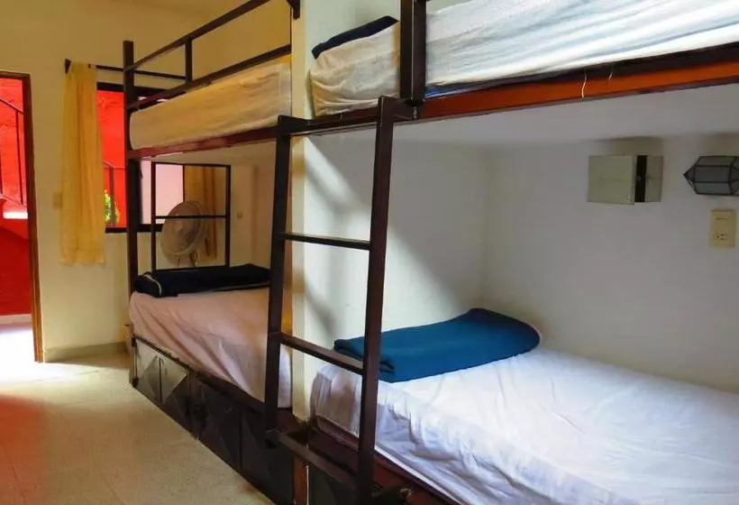 La Catrina Hostel