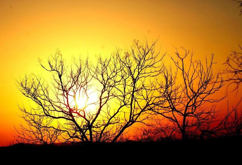 리조트 The Wilds Villa Gir Jungle Stay With Swimming Pool