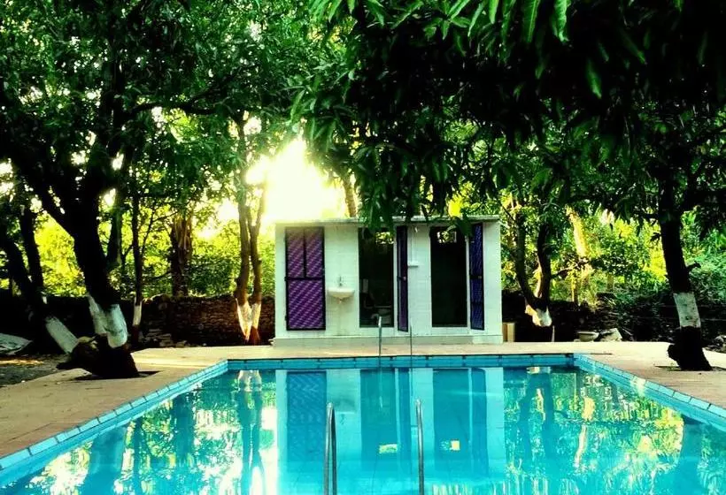 リゾートホテル The Wilds Villa Gir Jungle Stay With Swimming Pool