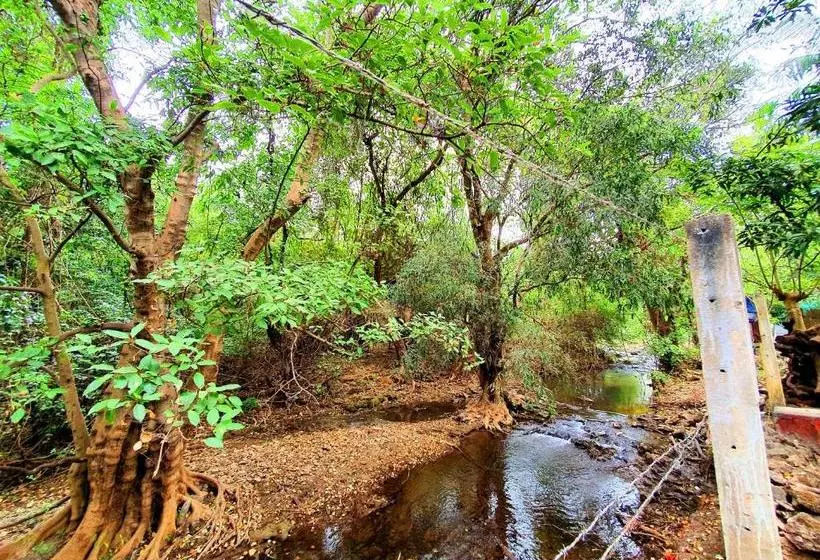 リゾートホテル The Wilds Villa Gir Jungle Stay With Swimming Pool