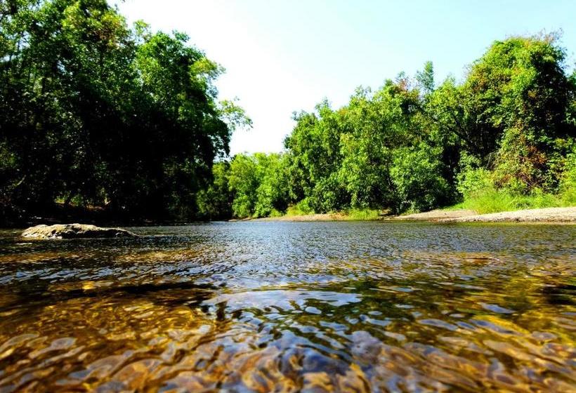 리조트 The Wilds Villa Gir Jungle Stay With Swimming Pool