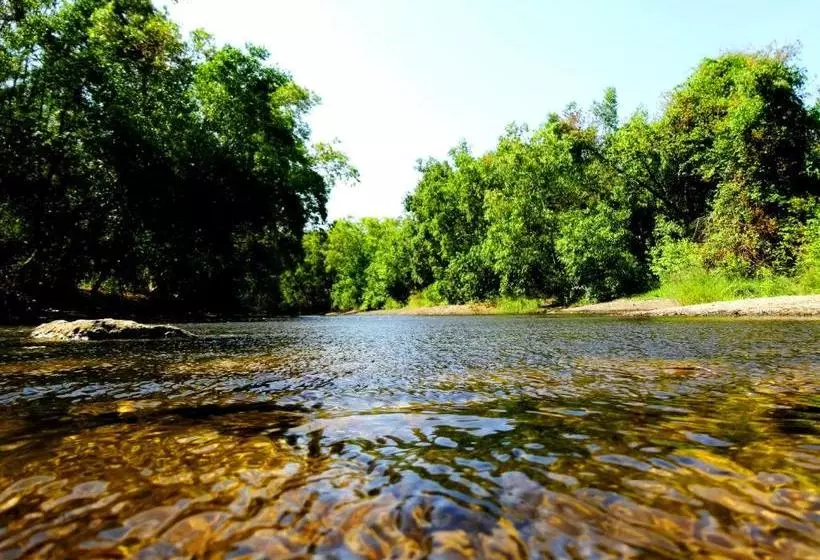 リゾートホテル The Wilds Villa Gir Jungle Stay With Swimming Pool