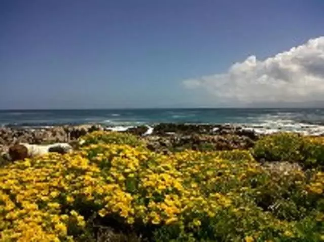 Villa Ocean Crest B&b