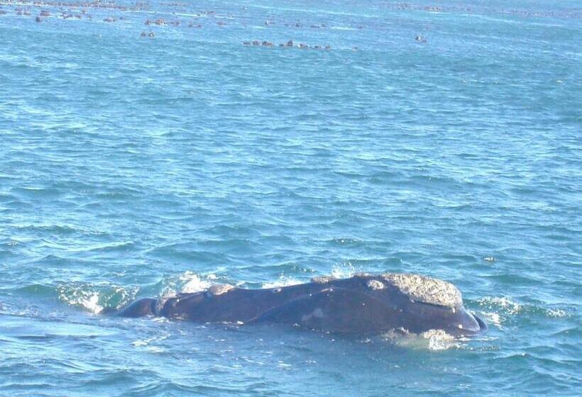 Villa Ocean Crest B&b