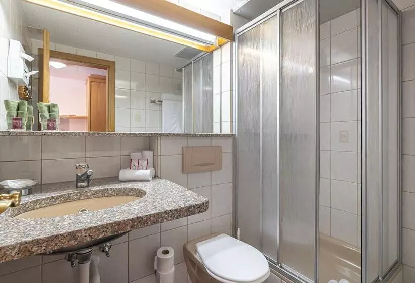 Aktiv  Und Genusshotel Alpenblick