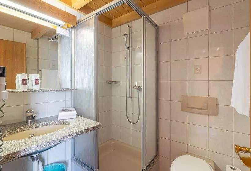 Aktiv  Und Genusshotel Alpenblick