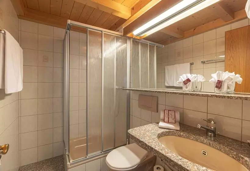 Aktiv  Und Genusshotel Alpenblick