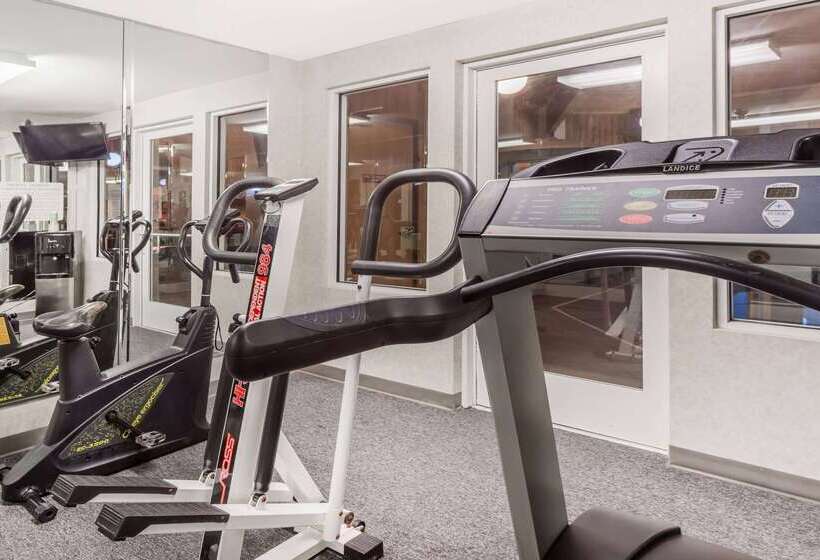 호텔 Baymont By Wyndham Rolla