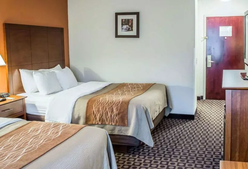 هتل Comfort Inn Fayetteville I95