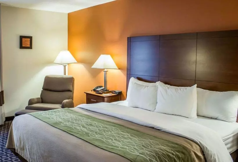 هتل Comfort Inn Fayetteville I95