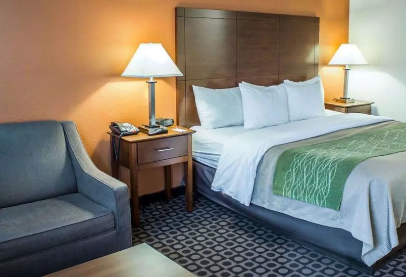 هتل Comfort Inn Fayetteville I95