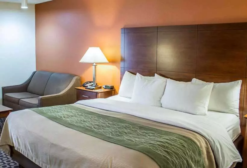 هتل Comfort Inn Fayetteville I95