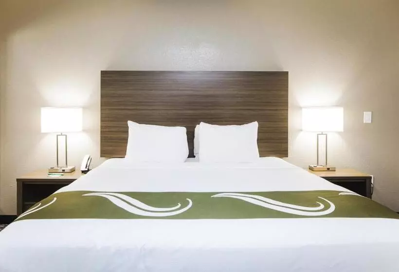 בית מלון כפרי Quality Suites Houston Hobby Airport