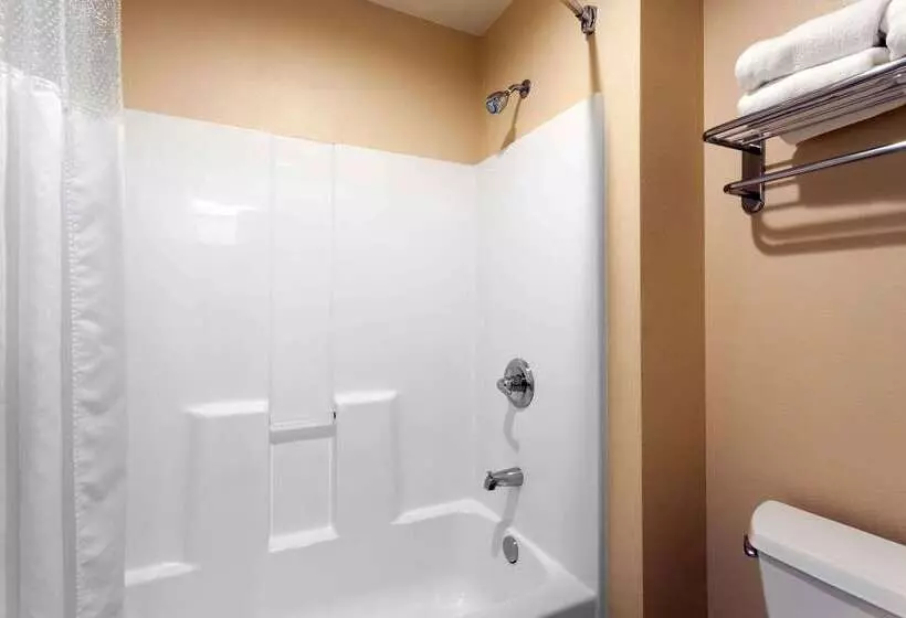 酒店 Ramada By Wyndham Seatac Airport North