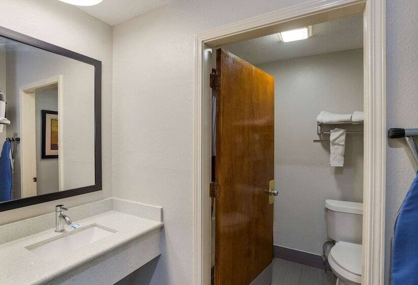 ホテル Rodeway Inn