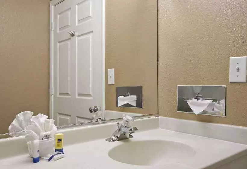 Microtel Inn & Suites By Wyndham Mineral Wells/parkersburg