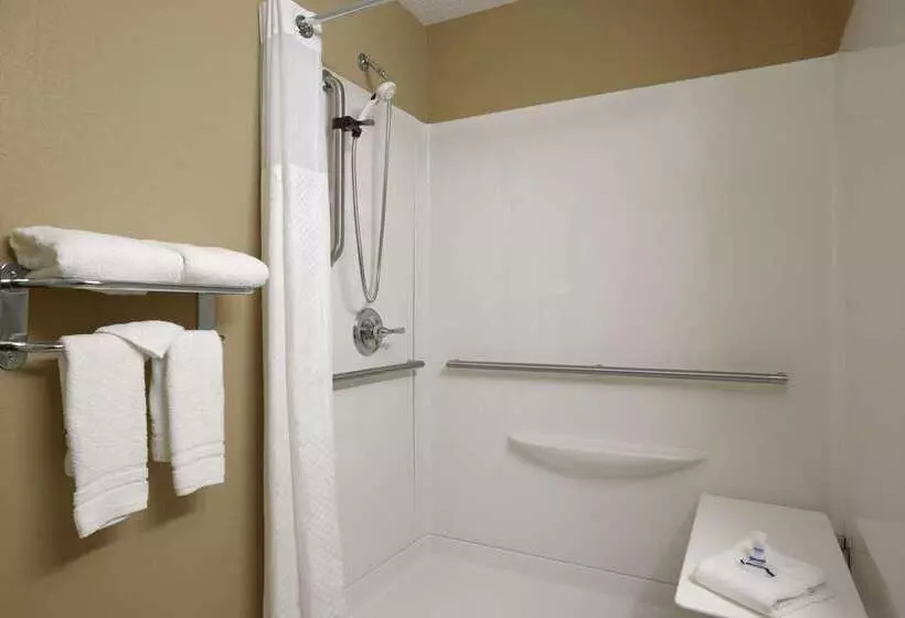 Microtel Inn & Suites By Wyndham Mineral Wells/parkersburg