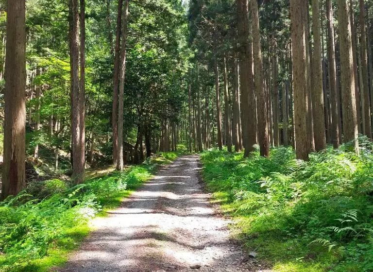 Retkeilymaja Satoyama Guest House Couture