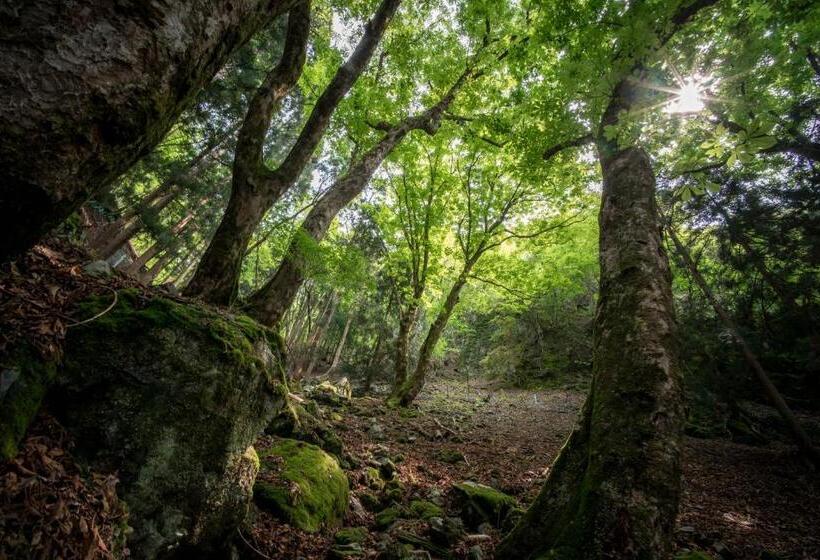 הוסטל Satoyama Guest House Couture