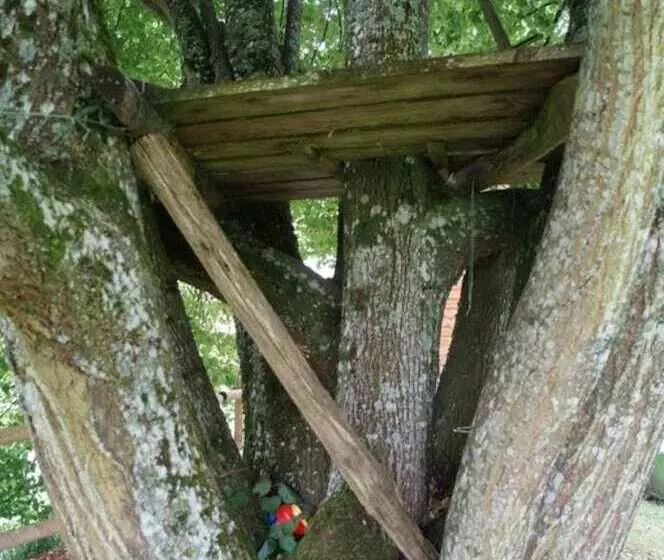 Aamiaismajoitus (B&B) Gîte De 15 Places En Chambre De 2, 4, 5 Personnes