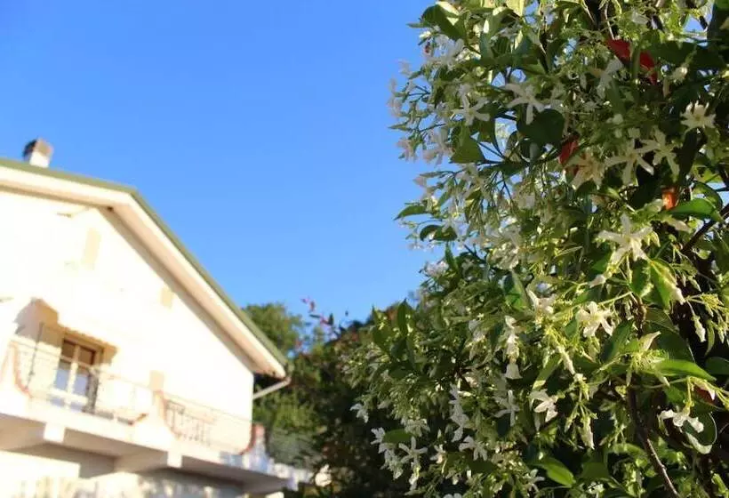 Aamiaismajoitus (B&B) Tetto Verde