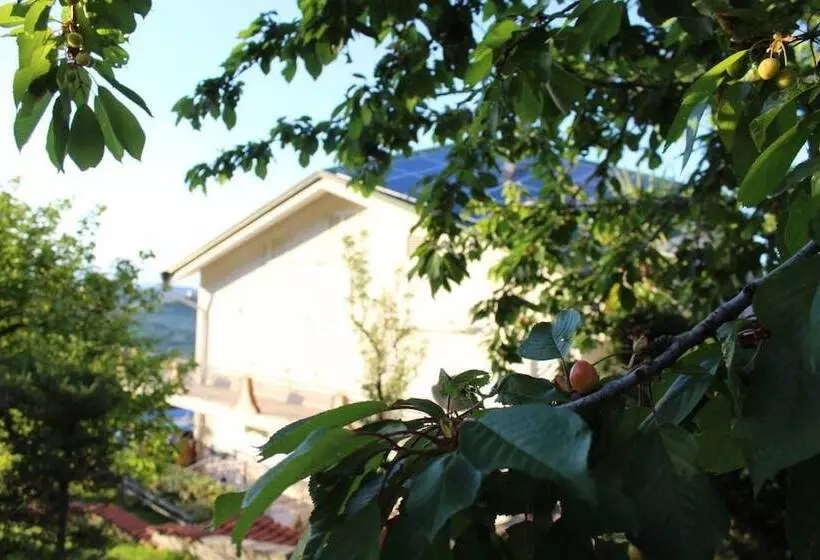 Aamiaismajoitus (B&B) Tetto Verde