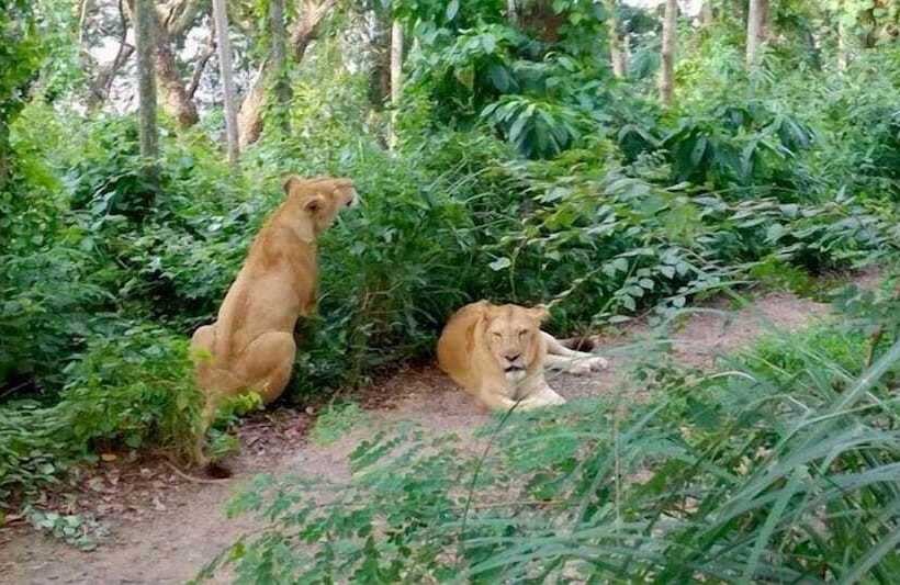 בית מלון כפרי Abirami