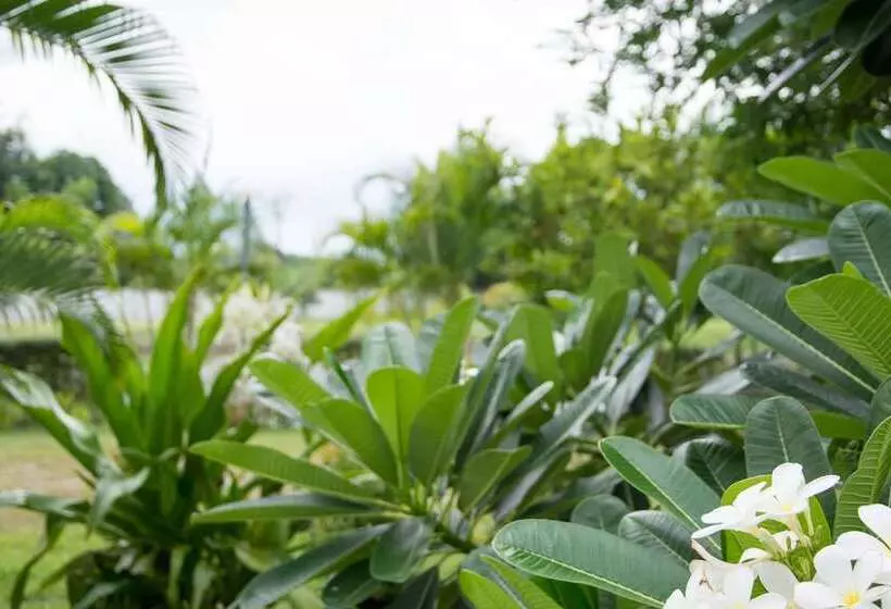 ホテル Chum Phae Lagoon Resort