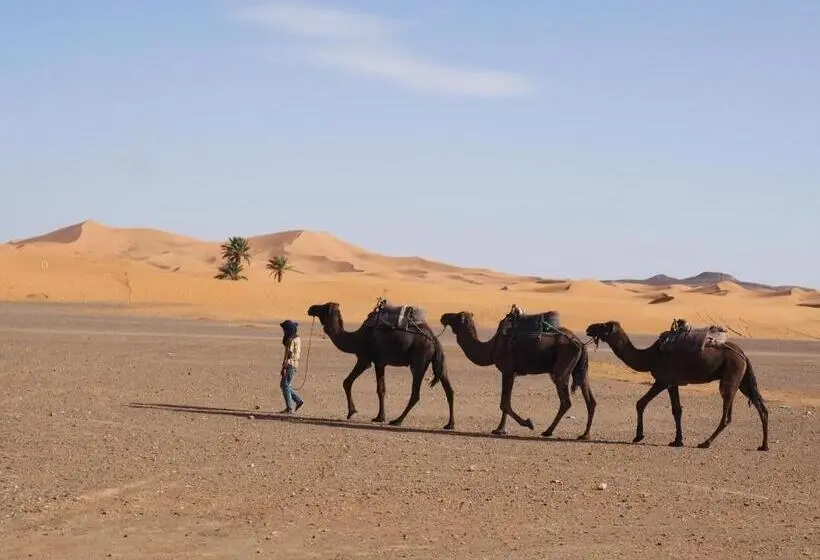 ホテル Dar Farhana