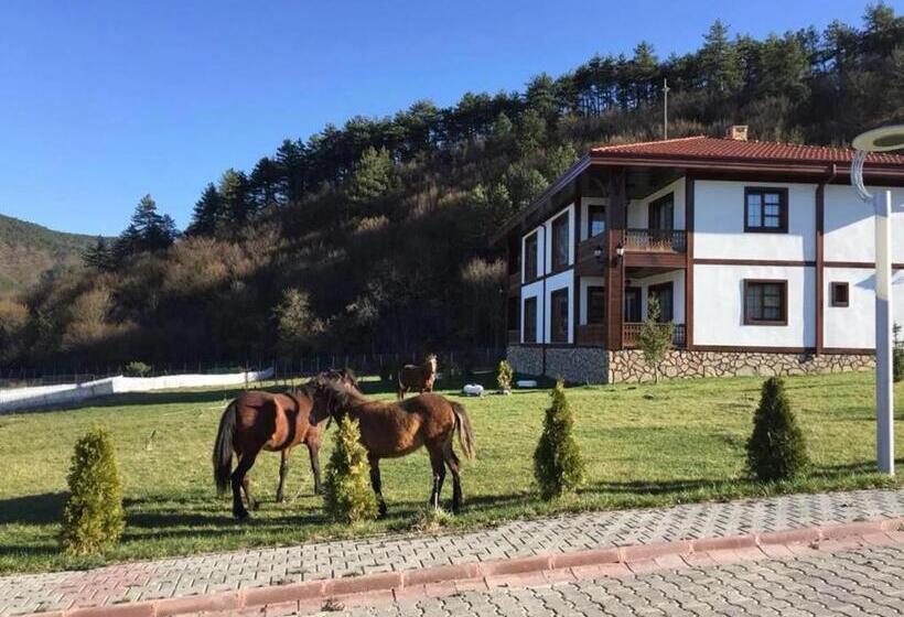 Отель Mengen Rüya çiftliği