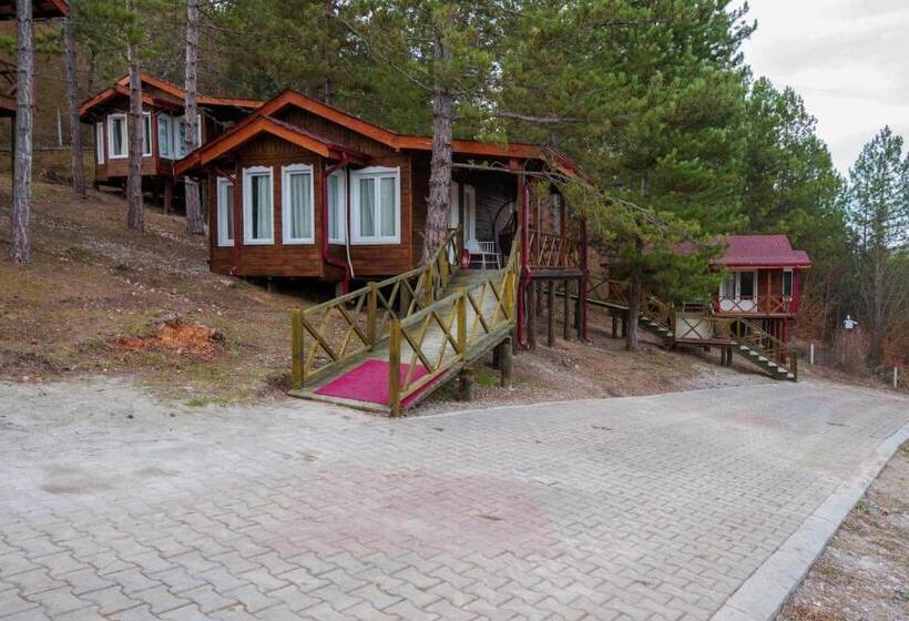 Отель Mengen Rüya çiftliği