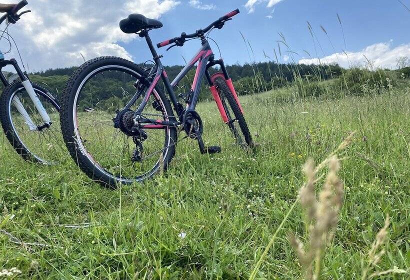 Отель Mengen Rüya çiftliği