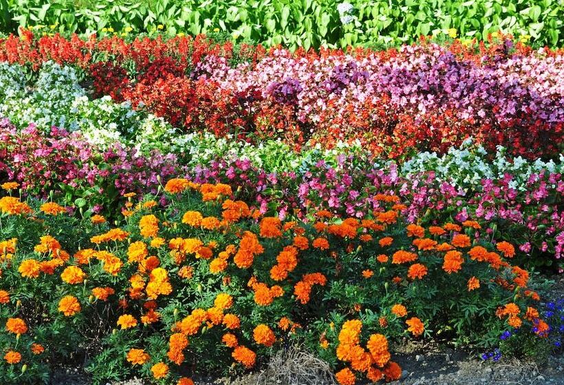 호텔 Shibetsu Inn Suigetsu