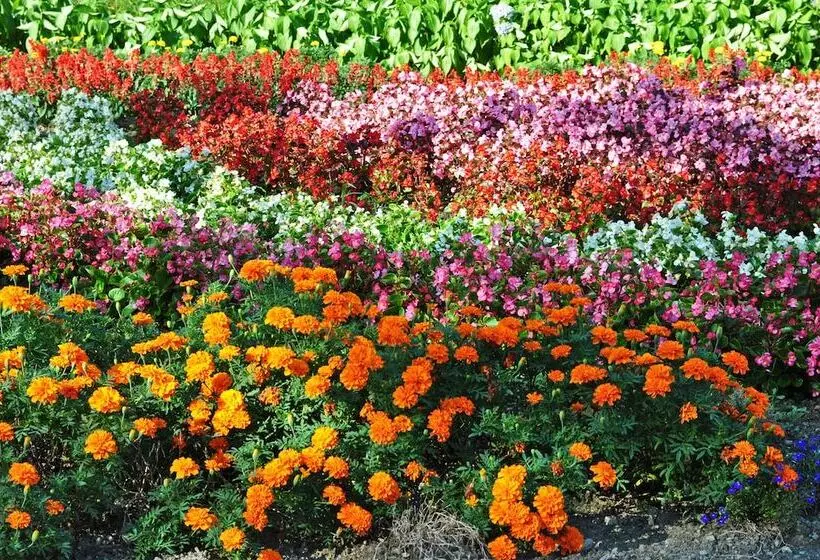 Hotelli Shibetsu Inn Suigetsu