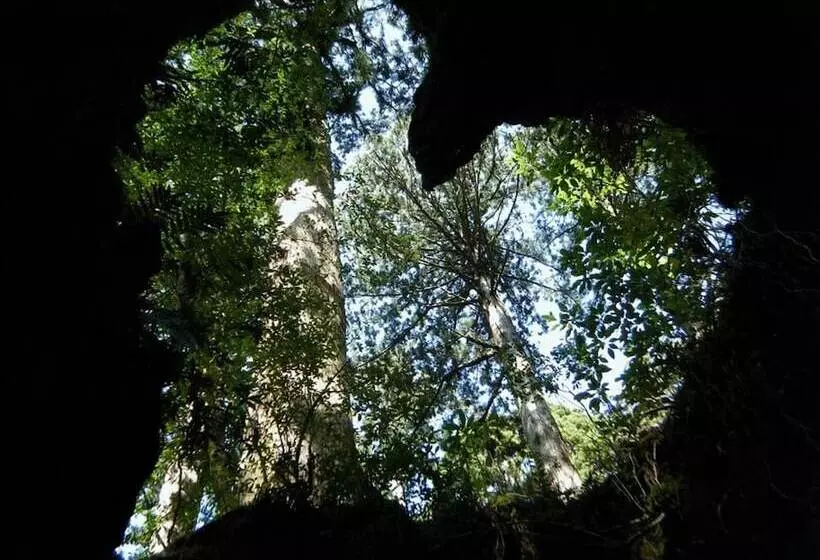 Minshuku Maetakeso   Hostel