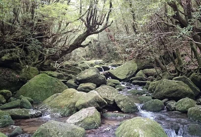 Minshuku Maetakeso   Hostel