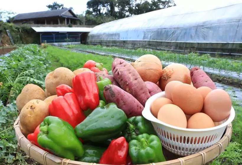 Minshuku Maetakeso   Hostel