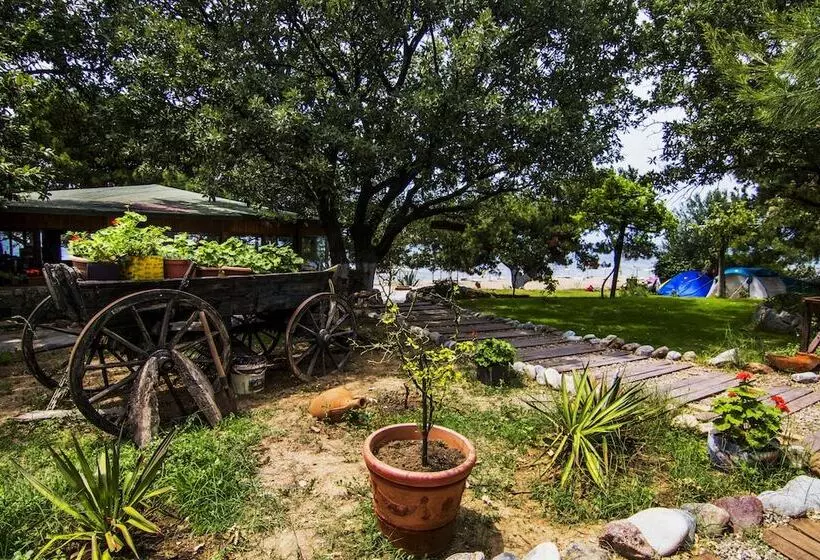 Majatalo Agora Tatil Duragi