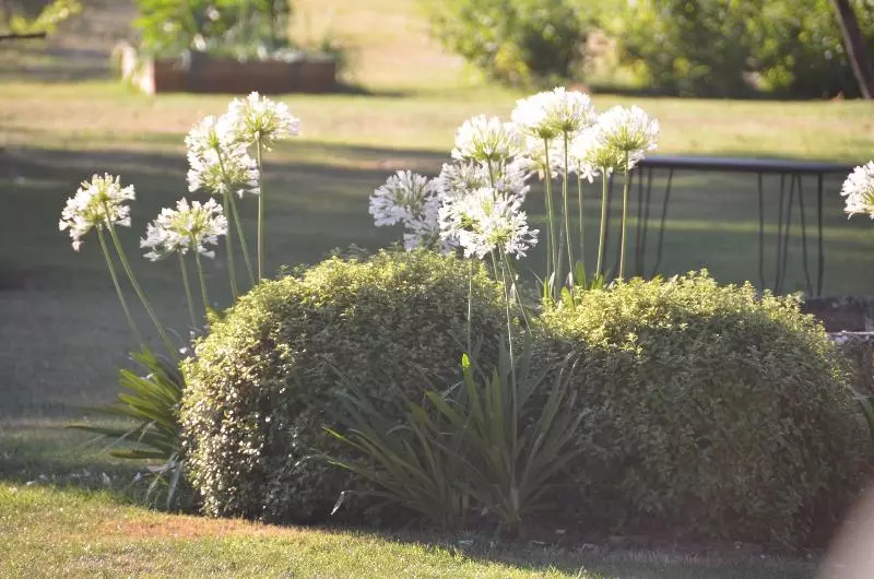 Majatalo Domaine De Grande Font