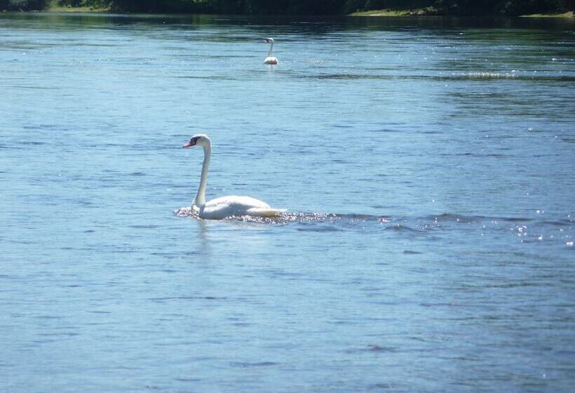 膳宿费 Domaine De Grande Font