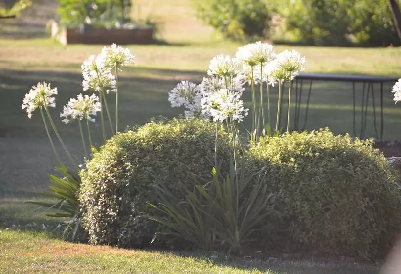 Majatalo Domaine De Grande Font