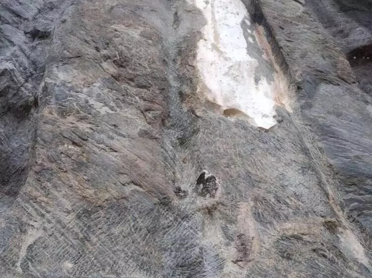 Majatalo G Excursion