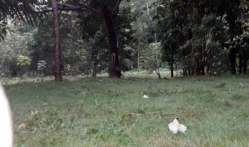 Majatalo G Excursion