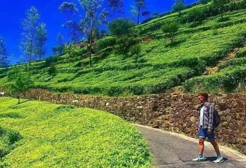 Majatalo G Excursion