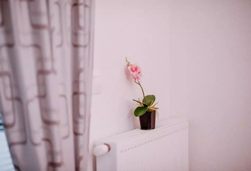 Majatalo House Karakas