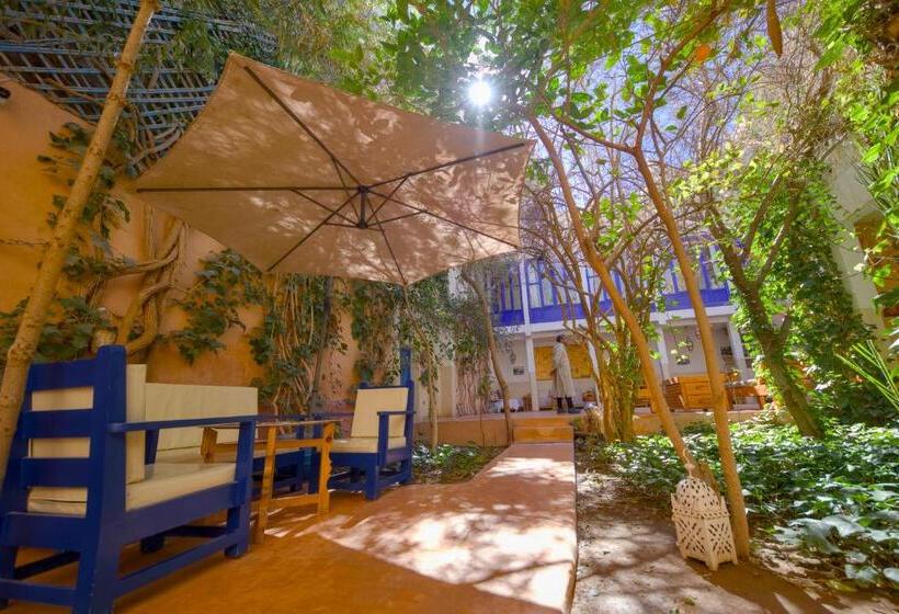 פנסיון Maison D Hôtes Dar Farhana